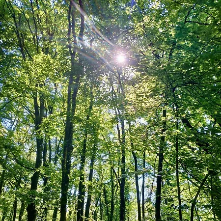 Boshuisje Durbuy Nr6 Extérieur photo