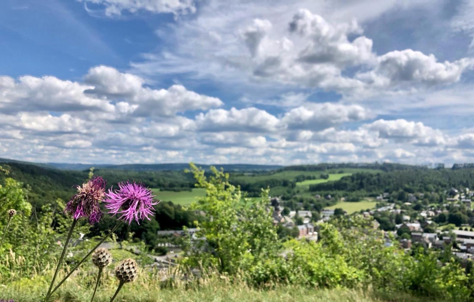Boshuisje Nr6 *