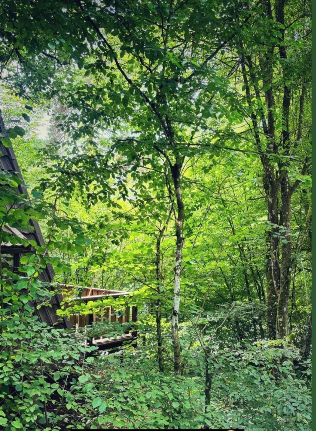 Chalet Boshuisje Nr6 Durbuy