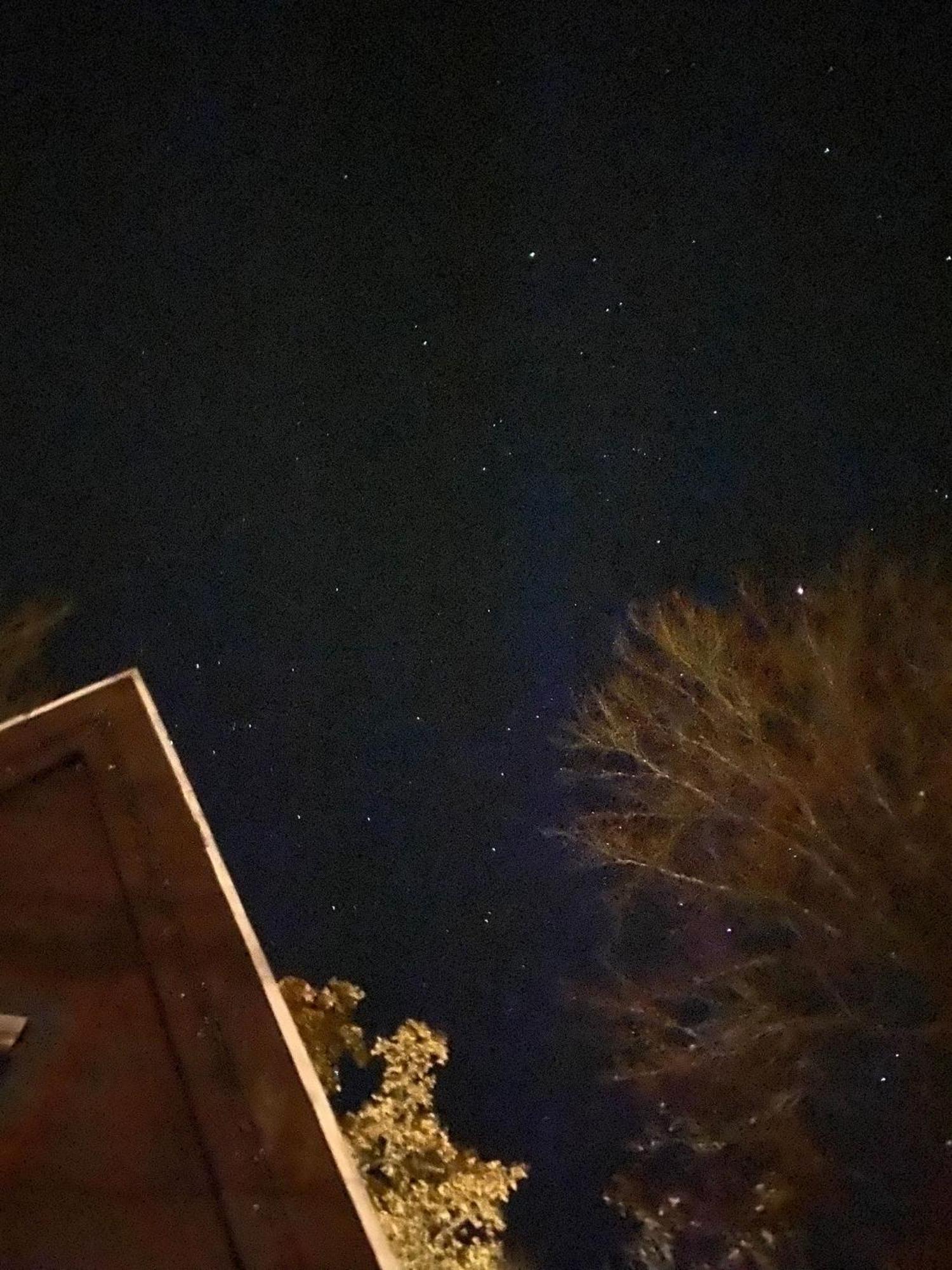 Boshuisje Nr6 Chalet *